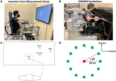 Generalizability of muscle synergies in isometric force generation versus point-to-point reaching in the human upper extremity workspace